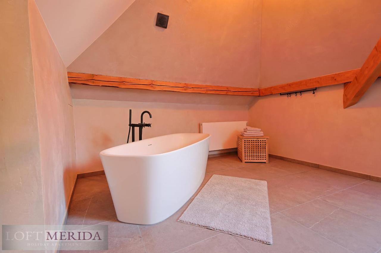 Loft Merida - Designer Apartment With Large Bathtub ビュートゲンバッ エクステリア 写真