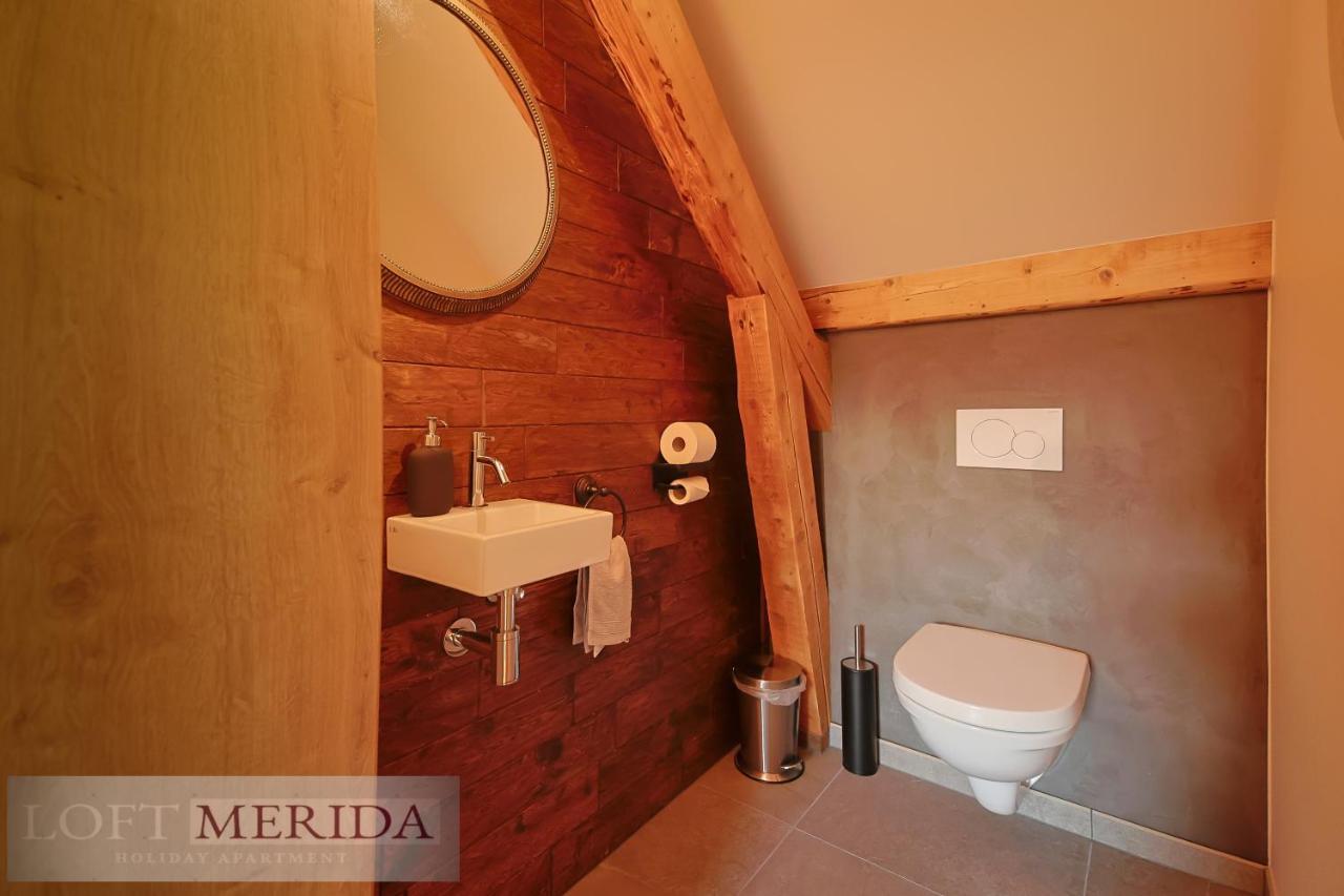 Loft Merida - Designer Apartment With Large Bathtub ビュートゲンバッ エクステリア 写真