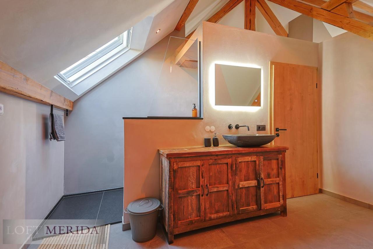 Loft Merida - Designer Apartment With Large Bathtub ビュートゲンバッ エクステリア 写真