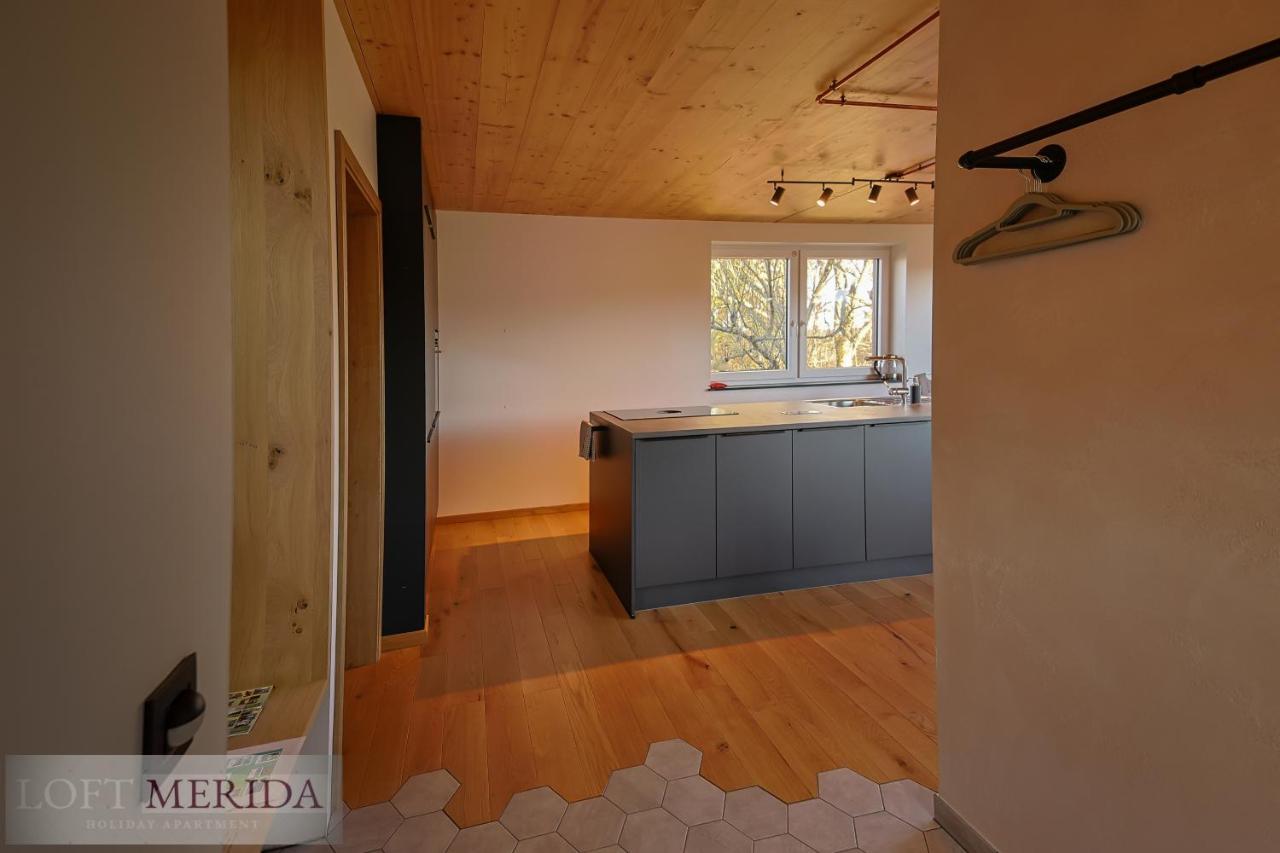 Loft Merida - Designer Apartment With Large Bathtub ビュートゲンバッ エクステリア 写真